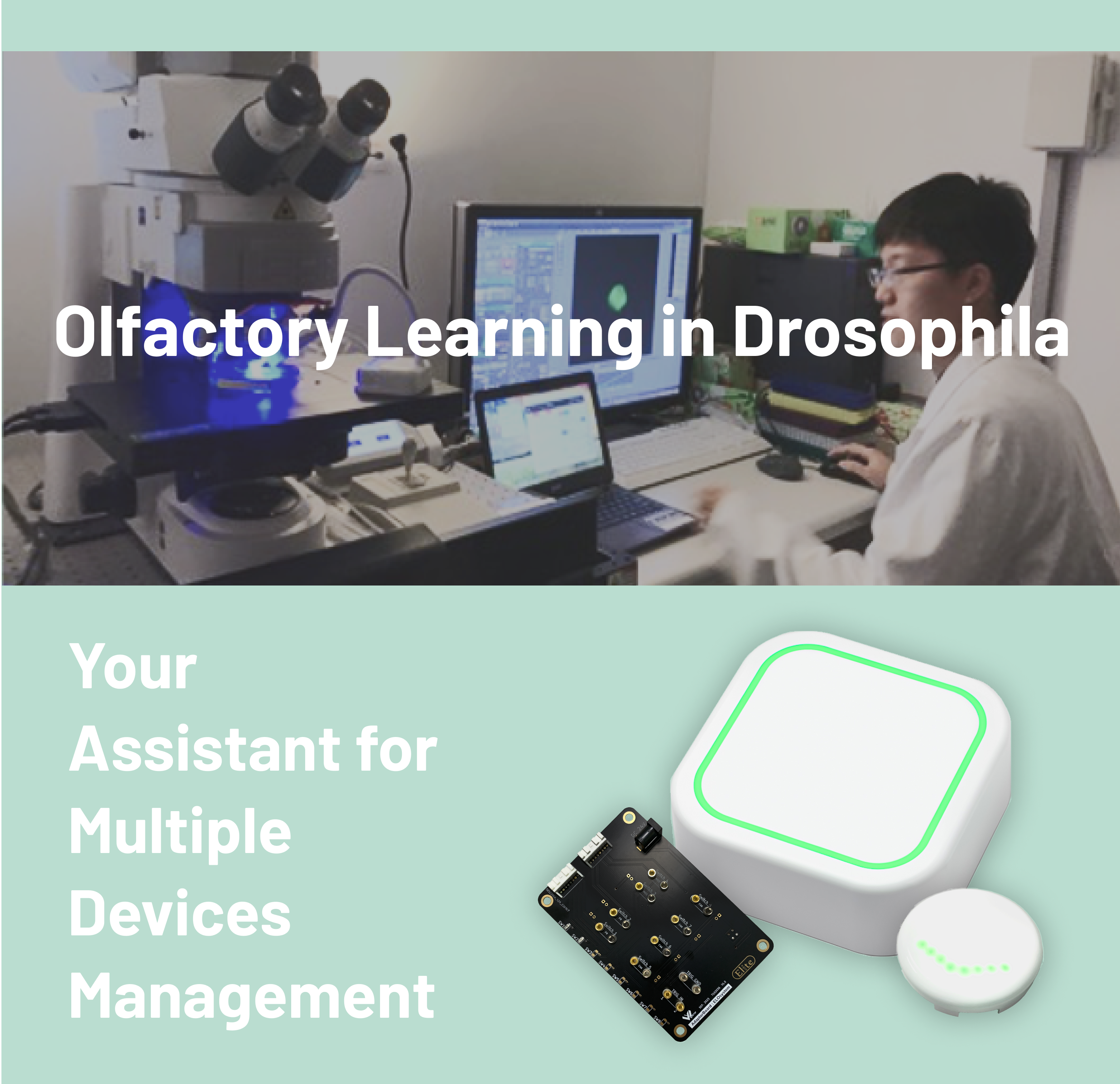 Biomedical application