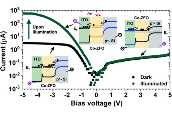 A Sensitive Visible Light Photodetector Using Cobalt-Doped Zinc Ferrite Oxide Thin Films